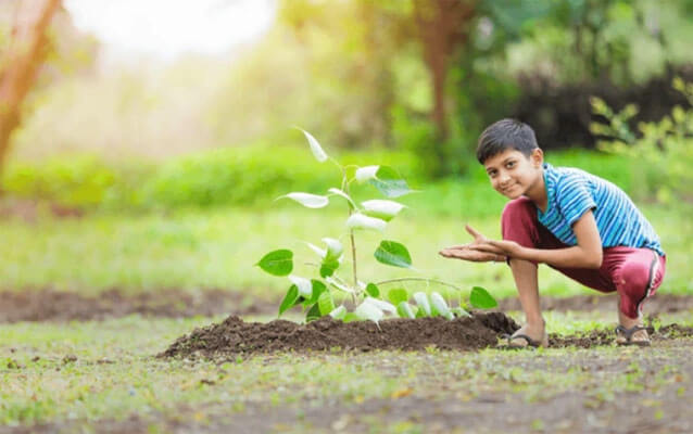 a-child-planting-tree