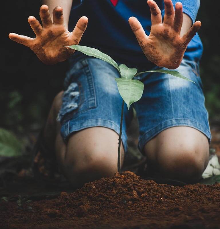 kid-planting-tree